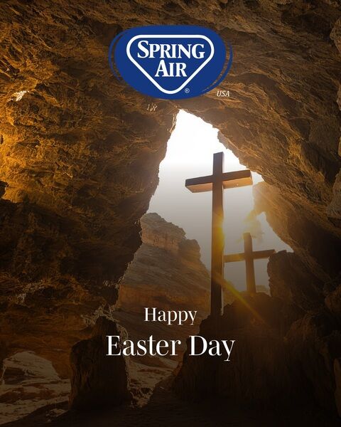 Instagram post image